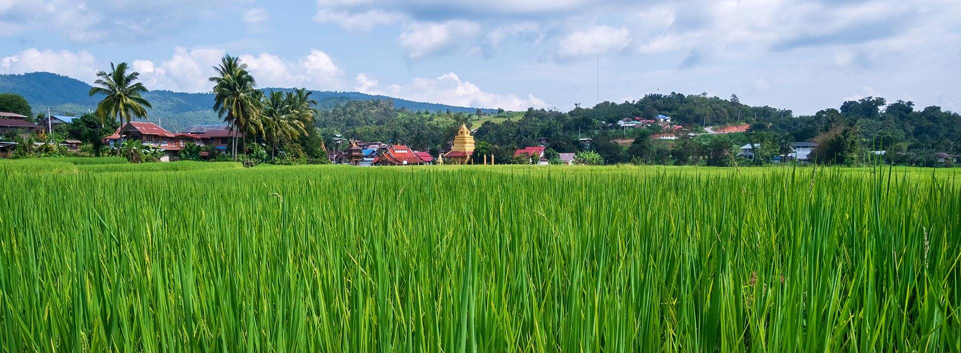 雷府 Loei