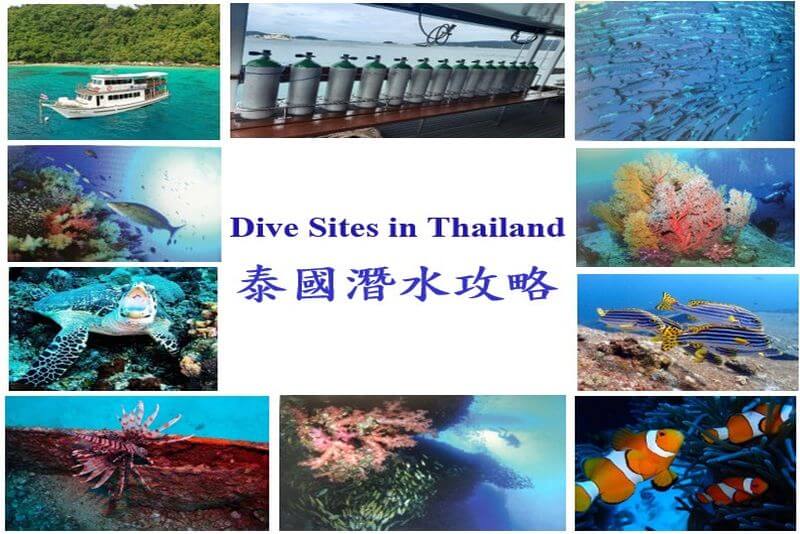 Dive Sites in Thailand 泰國潛水攻略