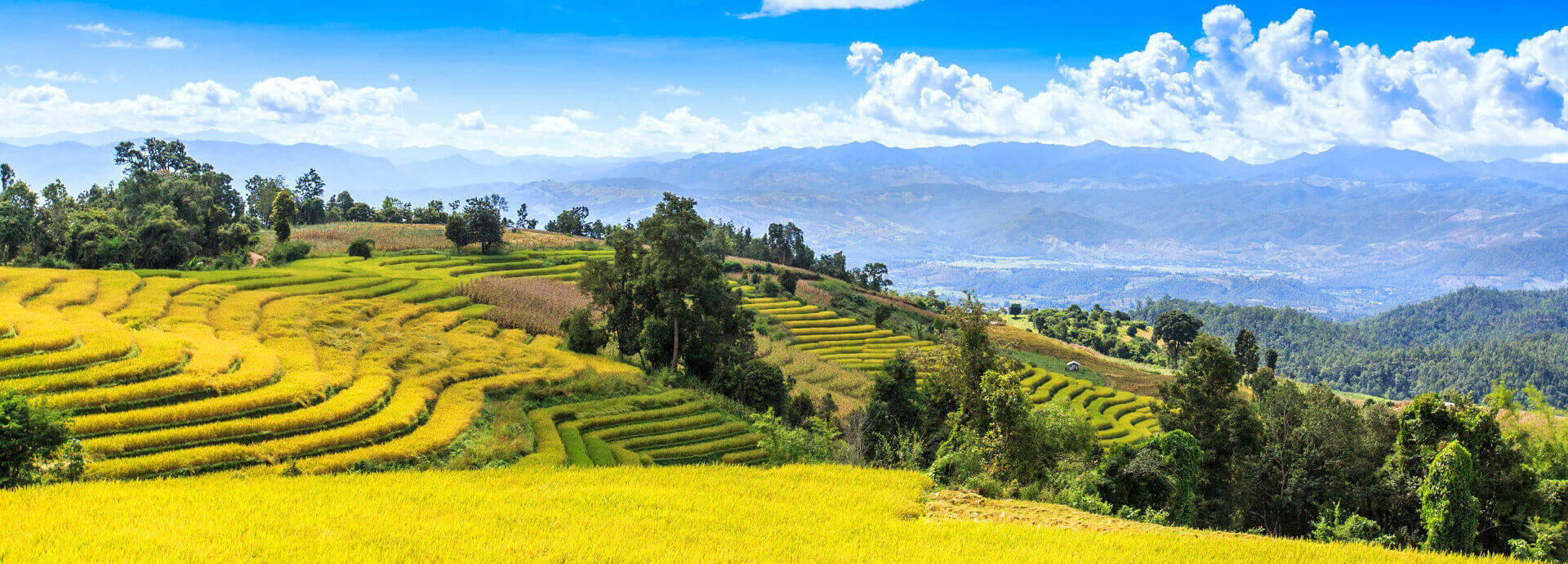 Chiang Mai-Pa Bong Pieng