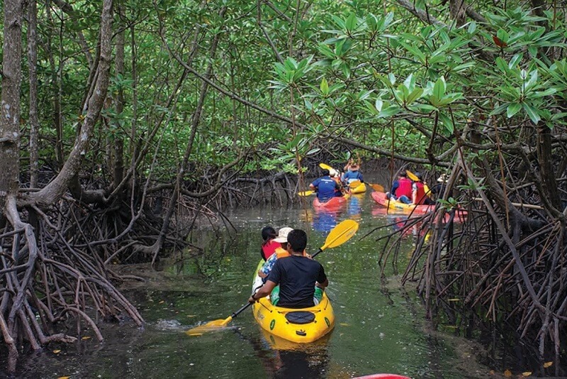 泰國綠色旅遊推薦 - 安達曼珍珠普吉島
