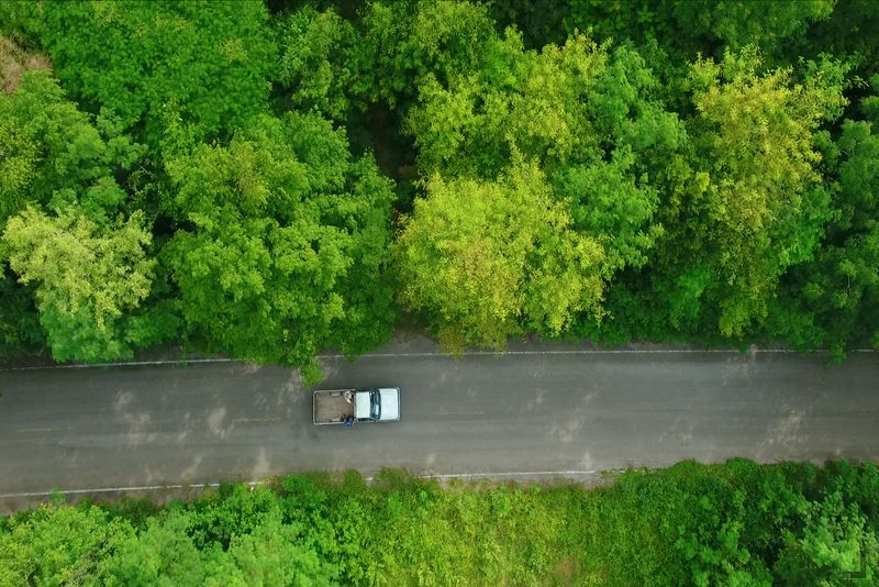 防疫新生活 EP26 Kaeng Krachan Forest Complex