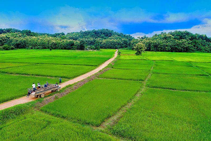 泰國的可持續旅遊業：振興自然和社區